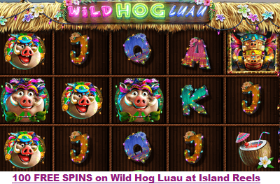 Free spins on Wild Hog Luau at Island Reels Casino