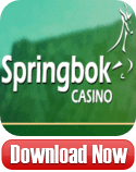 Springbok Casino download