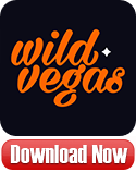 Wild Vegas Casino download