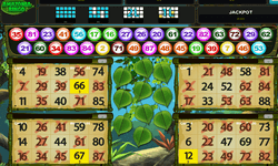 Amazonia Bingo by Qora