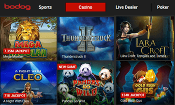 Bodog's casino games - no download required