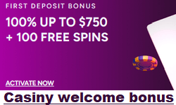 Casiny Casino welcome bonuses