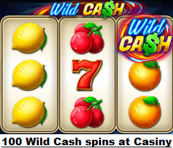 Casiny Casino - 100 spins on Wild Cash by BGaming