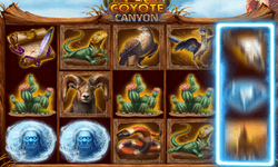 Coyote Canyon slot by Rival