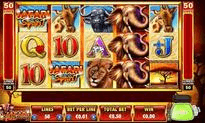 Safari Spirit slot