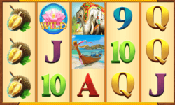 Oriental Flower slot by Dragon Gaming