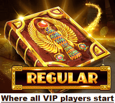 PrimeBetz VIP rewards