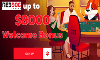 Red Dog Casino website