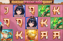 New slot, Shogun Princess Quest by SpinLogic