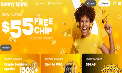 SunnySpins Casino website