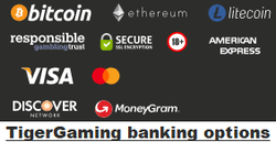 TigerGaming banking options