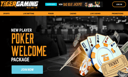 TigerGaming Casino website