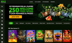 Wild Casino website