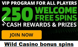 Wild Casino welcome bonus spins