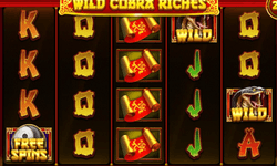 Wild Cobra Riches slot game, Betreels Casino